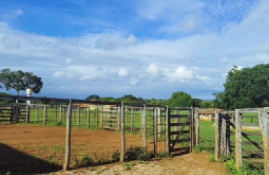 Fazenda para venda em Bocaiuva